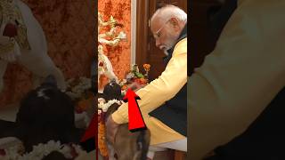 ये काम करती है मोदीजी की पत्नी Modijis wife does this work shortvideo modiji [upl. by Aihsotan]