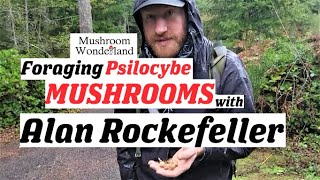 Foraging Psilocybe Mushrooms with Alan Rockefeller [upl. by Eekaz]