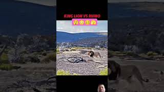 wildlife lion rhino shortvideo muntikan nang ma tuhog ang 🦁 [upl. by Reid]