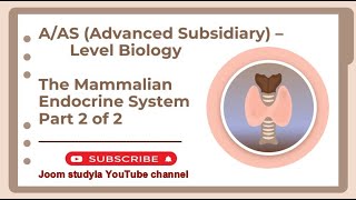 AAS Advanced Subsidiary Level  Biology  The Mammalian Endocrine System [upl. by Reuven540]