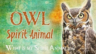 Owl Spirit Animal  Owl Totem amp Power Animal  Owl Symbolism amp Meanings [upl. by Wilkison]