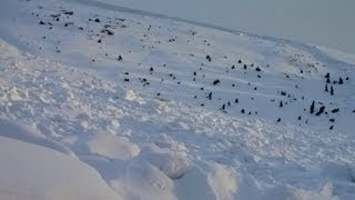 Killer Avalanche Location off Loveland Pass [upl. by Ainaled]