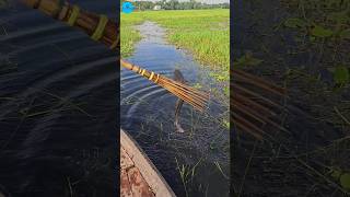 Boat Fishing Video 2024 part 149shortsshortvideo viral viralvideo fishing fishboatfishing [upl. by Delilah346]