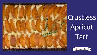 Low Carb Crustless Apricot Frangipane Tart [upl. by Hummel]