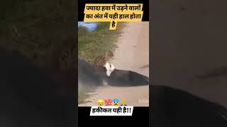 ज्यादा हवा में उड़ने वालों का अंतimotionalshortsvideo subscribemychannel👍💯😰😰😰 [upl. by Akessej]