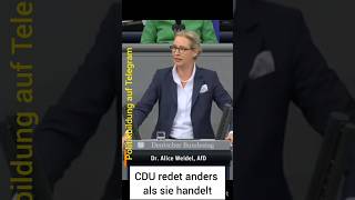 Weidel entzaubert die CDU [upl. by Coffee]