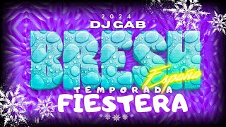 BRESH ❄️ INVIERNO CACHENGUE  TEMPORADA FIESTERA  MIX LO NUEVO 2024  JUNIO 2024  DJ GAB [upl. by Nahttam212]