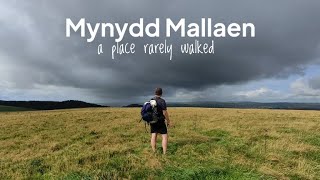 Mynydd Mallaen walking a lonely Welsh mountain [upl. by Elinor22]