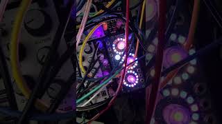 Live modular set electronicmusic eurorackmodular synth modularsynth modularmusic futurebass [upl. by Thorrlow953]