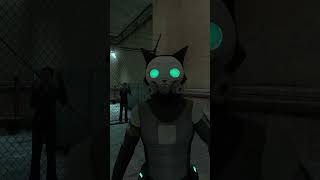 Theres nothing wrong with my copy of Half Life 2 shorts [upl. by Kalfas350]