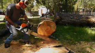 Stihl ms400R vs ms661R  The Short Bar Session [upl. by Ssilem]