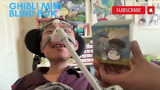 Studio Ghibli Mini Blind Box Unboxing [upl. by Yreffoeg471]