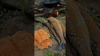 Trout Catch amp Cook and Chicken of the Woods with Doug [upl. by Pacian]