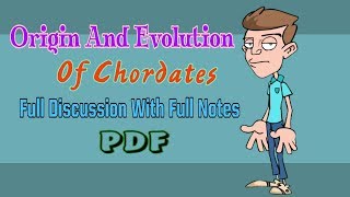 Chordates Origin And Evolution Full Notes With PDF [upl. by Gunner]