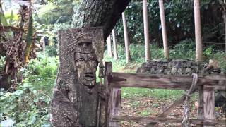 Waipio Valley Part 2wmv [upl. by Sallie]