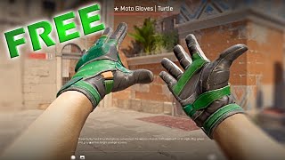 Moto Turtle Gloves Giveaway at 500 subs Xbox Player Tries PC Counter Strike 2 Day 13 [upl. by Osrit]