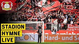 MIT DEM KREUZ AUF DER BRUST  Offizielle Hymne live  Dirk Maverick  Bayer 04 Leverkusen [upl. by Itsrejk]