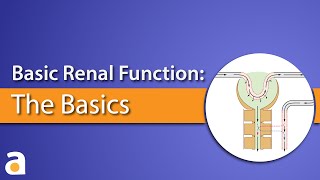 Proximal Convoluted Tubule  PCT  Nephron Transport  Transport Maximum  Renal Physiology [upl. by Norbie115]