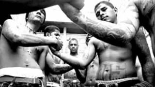 MS13 Mara Salvatrucha  Music by El Dyablo  City of the Padres [upl. by Tymon]