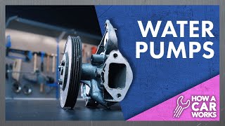 Water pumps Explained in super detail [upl. by Anerehs467]