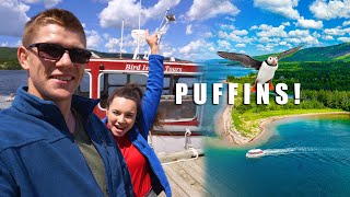 WE SAW PUFFINS Seaweed amp Sod And Bird Island Tours  Cape Breton  Nova Scotia [upl. by Daren]