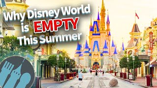 Why Disney World is EMPTY This Summer [upl. by Friend67]