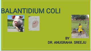 BALANTIDIUM COLI MICROBIOLOGY SHORT NOTE FOR MEDICOS  MALAYALAM [upl. by Patric]