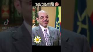 meleszenawi funny enterveiw [upl. by Aseretairam]