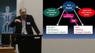 2013 quotBeating the Bloat the FODMAP diet amp IBSquot Central Clinical School public lecture [upl. by Avram]