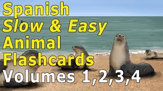 Learn Basic Spanish Animal Flashcards 1 to 4 [upl. by Adelaida]