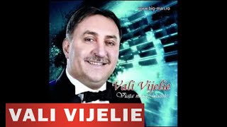 VALI VIJELIE  Un vagabond [upl. by Seda]