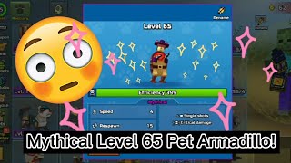 Mythical Level 65 Pet Armadillo Damage and Health [upl. by Aenyl133]