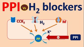 Proton pump inhibitors PPI vs H2 blockers [upl. by Assilat518]