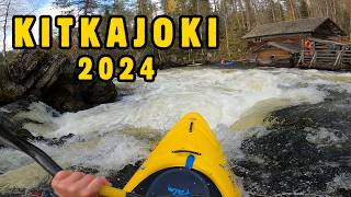 Whitewater kayaking in Kitkajoki 2024 [upl. by Tymothy]