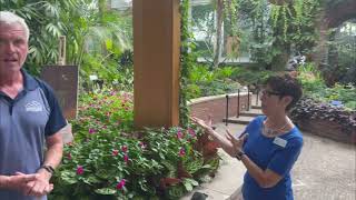 Wednesdays with WayneMonet in Bloom Phipps Conservatory [upl. by Zelig]