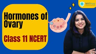 Hormones of the Ovary Class 11 Biology Explained [upl. by Chor]