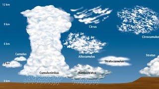 ☁️⛈️Types of clouds⛅ [upl. by Nylekoorb]