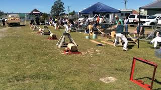 Woodchopping Final Single Handed Sawing Handicap NTAA Carnival Exeter 121024 [upl. by Howarth]