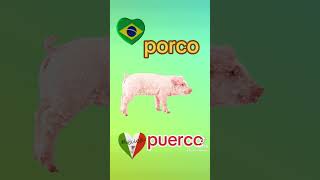 🇧🇷porco vs puerco 🇲🇽 [upl. by Nodnarbal]