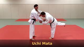 Programme technique UV2 1° dan judo Koshi Waza  club judo jujitsu Duppigheim [upl. by Buddie]