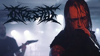 Ingested  Rebirth OFFICIAL VIDEO [upl. by Armando]