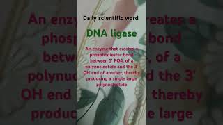 DNA ligase biology enzymes enzyme biochemistry biotechnology genetics shorts trending viral [upl. by Stuart]