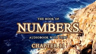 Israelites Struggles on Their Way to the Promised Land • Numbers Audio Bible • Holy Bible Audio [upl. by Sarilda637]