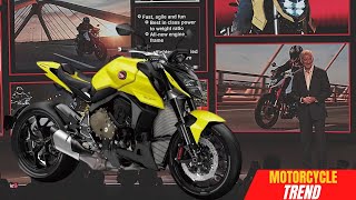 NEW FACE 2024 HONDA CB1000R HORNET [upl. by Nylcaj]