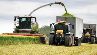 DEUX BENNES XXL de 65m3  😱 ENSILAGE 2022 in France [upl. by Aiepoissac]