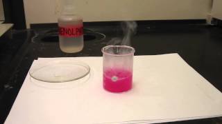 Reaction of Sodium with Water 001 [upl. by Stiruc865]