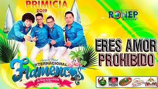 INTERNACIONAL FLAMENCOS►ERES AMOR PROHIBIDO☆ PRIMICIA 2019 ☆ ✓ ♫ ☛ RONEP PRODUCCIONES [upl. by Annabell398]