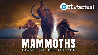 Mammoths  Giants of the Ice Age [upl. by Chaing178]