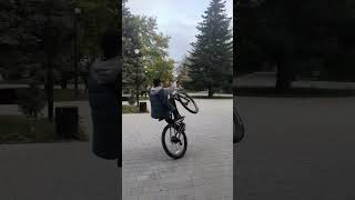 stant biklife mtb bike wheelie [upl. by Fusco]