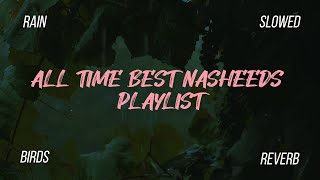 5 Nasheed which is everyones all time favorite  Nasheeds Playlist  Hashnooor [upl. by Ynaffet217]